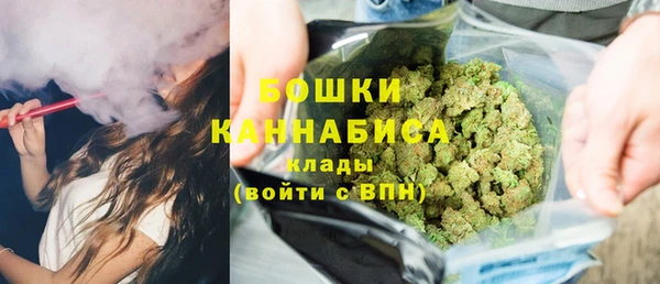 индика Лагань