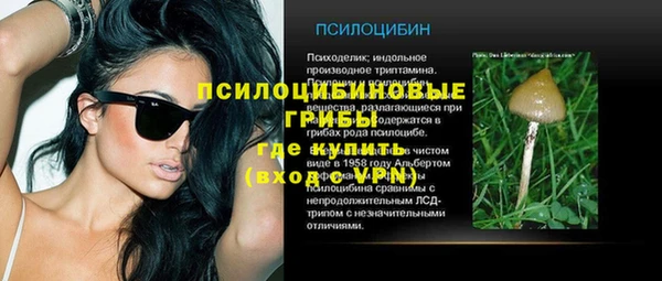 a pvp Липки